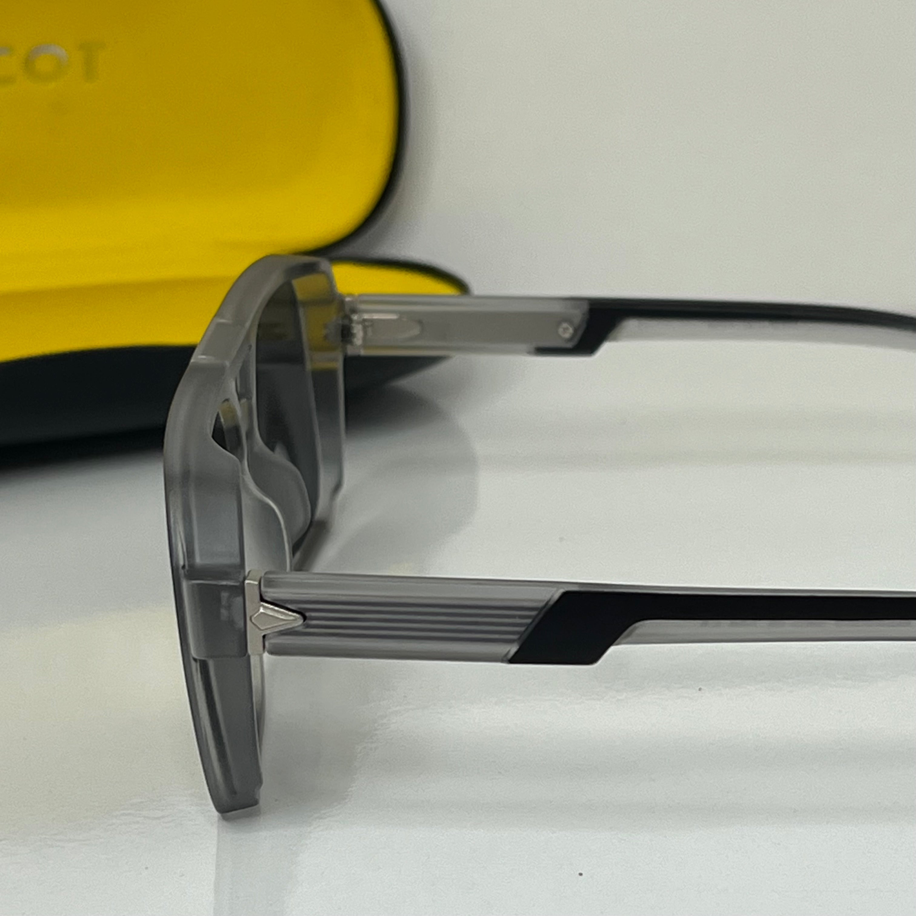 Lunettes Moscot Prestige Gris